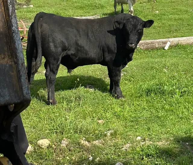 looking for farmland to rent 2027