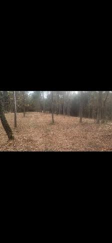 mulching equipment parkland county and surrounding areas - Photo 3