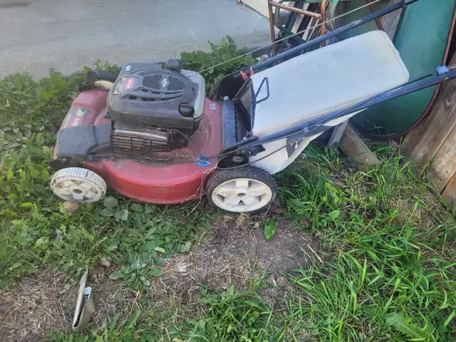 Text phone number only. Free for pick up