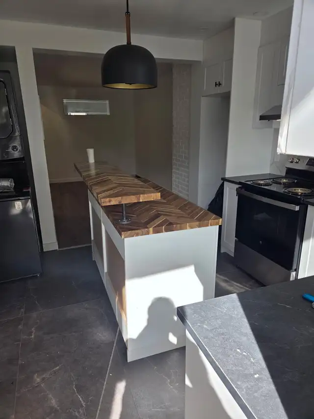 frontenac entre Rachel et sherbrook 1300$