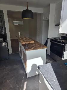 frontenac entre Rachel et sherbrook 1300$