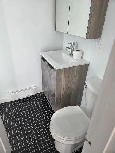 frontenac entre Rachel et sherbrook 1300$ - Photo 3