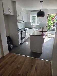 frontenac entre Rachel et sherbrook 1300$ - Photo 4