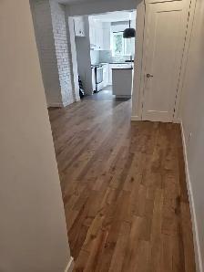 frontenac entre Rachel et sherbrook 1300$ - Photo 5