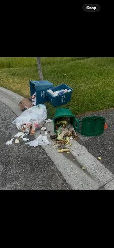 AA Junk removal