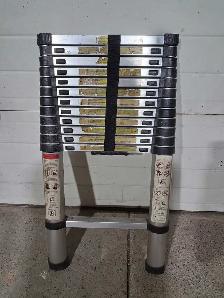 TELESCOPIC 12 FOOT LADDER