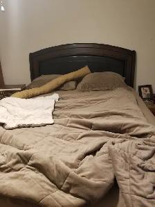 Fully furnished room in a 2-bedroom apartment ($830/month), avai