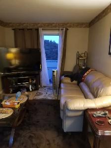 Fully furnished room in a 2-bedroom apartment ($830/month), avai - Photo 5