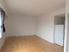 studio apartment available Sandy Hill - Photo 2
