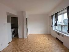studio apartment available Sandy Hill - Photo 3