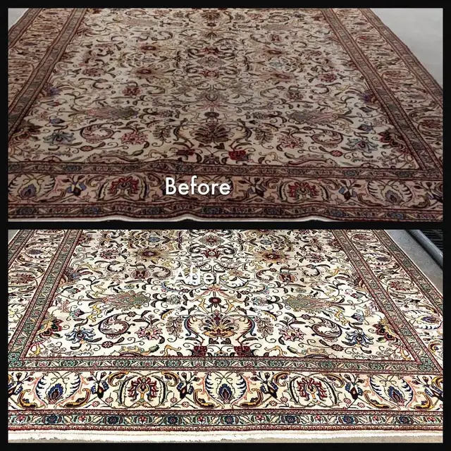 Home carpet/sofa/upholstery/chairs