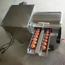 Automatic Chicken Duck Egg Washing Machine Double Row 028367 - Photo 9