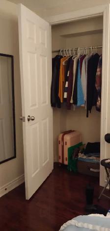 Room For A girl Near Sheridan College Brampton - Photo 3