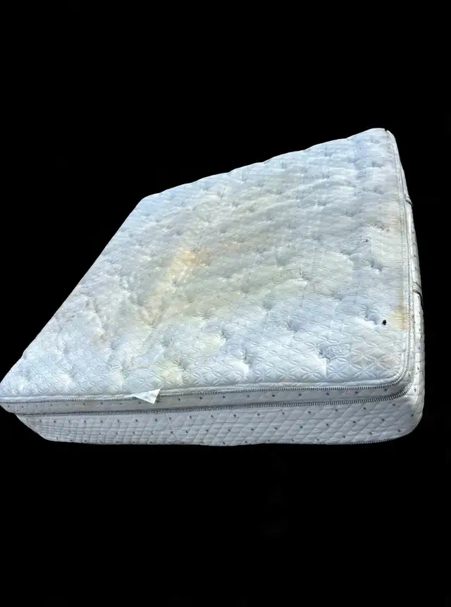Queen Serta Perfect Sleeper Mattress. I have Boxsprings too