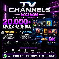 Digital Home Entertainment Streaming Service