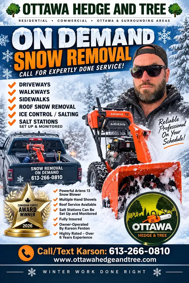 Snow Shovelling on Demand
