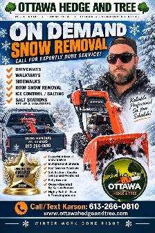 Snow Shovelling on Demand