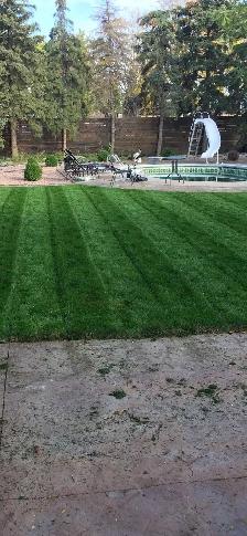 landscaping lawn grass cutting trimming property yard clean up - Photo 2