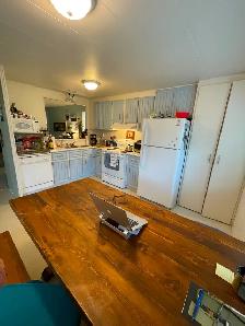 1975 Mobile Home For Sale - Photo 5