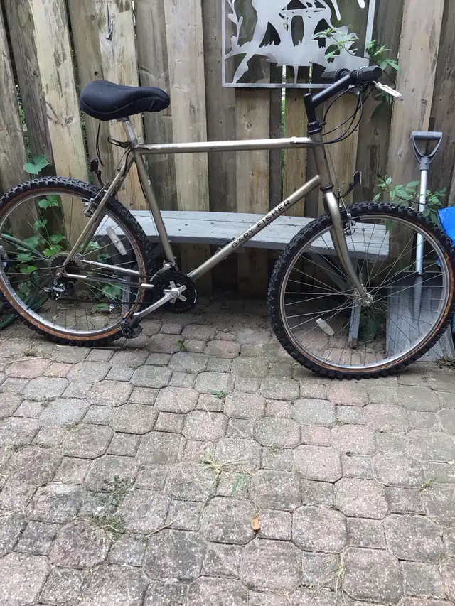 Mountain bike