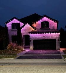 Govee Lights
