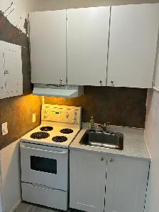 Centretown Basement Bachelor/Studio for Rent (192 Somerset St W) - Photo 5