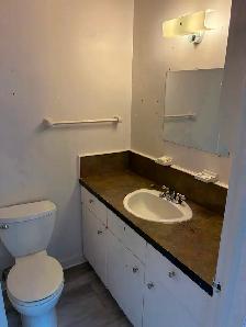 Centretown Basement Bachelor/Studio for Rent (192 Somerset St W) - Photo 9