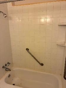 Centretown Basement Bachelor/Studio for Rent (192 Somerset St W) - Photo 10
