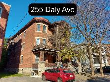 1 Bedroom Sandy Hill Apartment for Rent (255 Daly Ave)