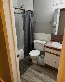 Fully furnished 2 bedroom half duplex for rent (utilities incl) - Photo 6