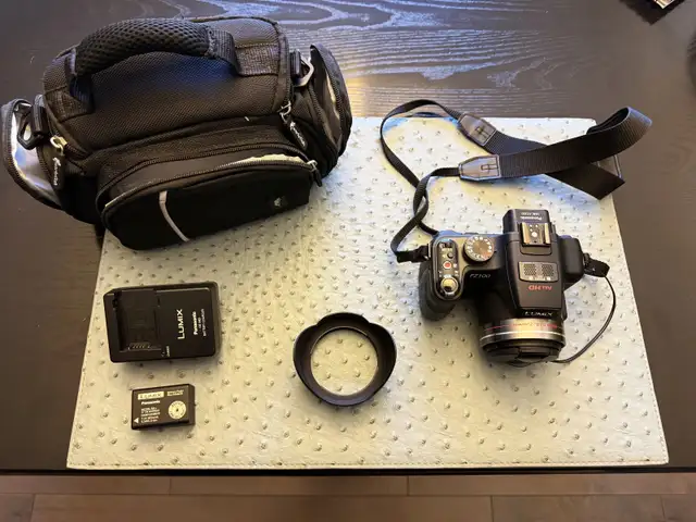 Panasonic Lumix DMC-FZ100 Camera With Case & Accessories