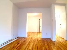 PLATEAU 5 1/2 for rent APPLIANCES INCLUDED !! - Photo 2