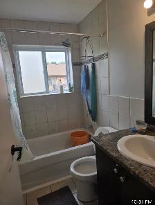 2 bedroom newly renovated apartment 16 windsor st - Photo 3