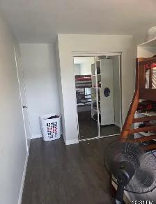 2 bedroom newly renovated apartment 16 windsor st - Photo 9