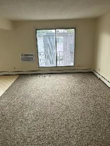 2 bedroom apartment for rent - Photo 4