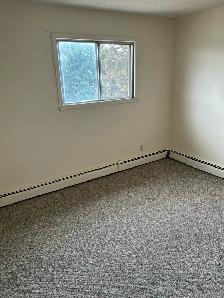 2 bedroom apartment for rent - Photo 5