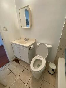 Bachelor Apartment for Rent - Photo 9