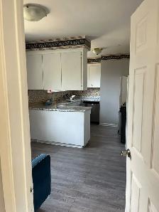 3 Beds 1 Bath Main Floor unit $2800/- available from 13th Sep - Photo 11