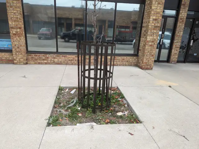 Custom Metal Tree Guards & Steel Tree Grates