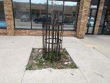 Custom Metal Tree Guards & Steel Tree Grates