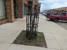 Custom Metal Tree Guards & Steel Tree Grates - Photo 3