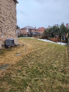 Detached 5 Bedrom  3 room House Prime Location (Mavis&Eglinton) - Photo 10