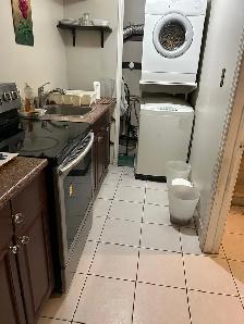 Rent a Room for a Professional Male - Photo 3
