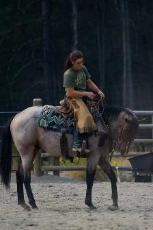 Horse Training, Horse Exercise, Saddle and Tack Care