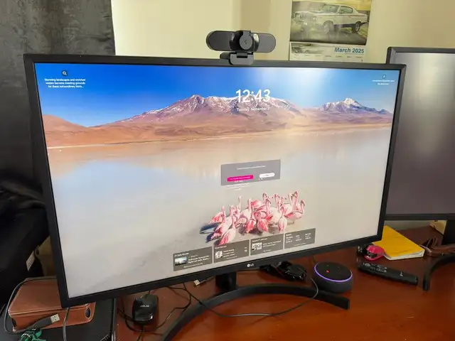 LG 32UK550-B 32' 4K UHD Monitors – 2 Available