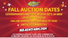 CONSIGNMENT AUCTION