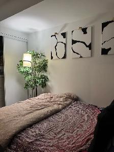 Short Term Rental For a 2bedroom and 2bathroom - Photo 9