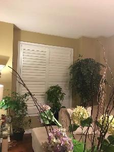 California shutters/Zebra shades/Blinds 16473275500 - Photo 9