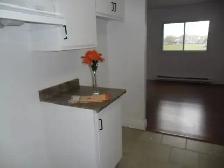 4,5 à louer,2 chambre, Rive Sud de Montreal, Longueuil - Photo 3