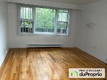 4343 Av. Jeanne-d'Arc - Photo 3
